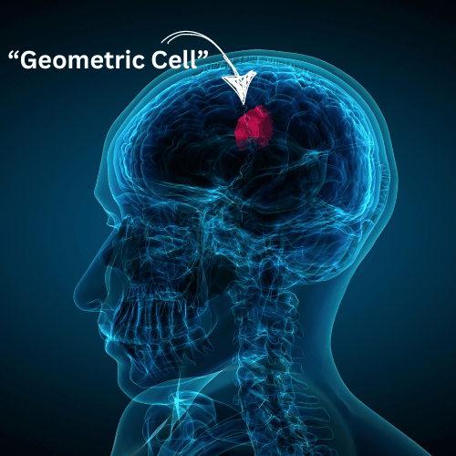 Wealth Geometric Code